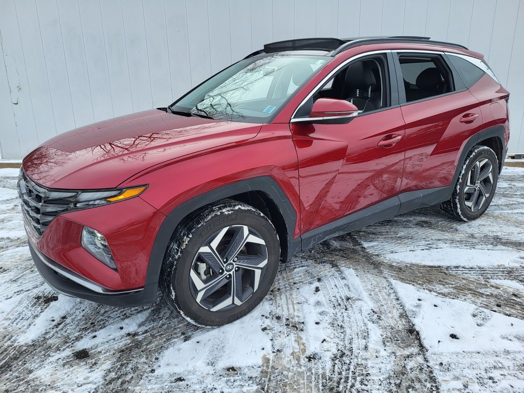 2023 Hyundai Tucson Hybrid Luxury | HEV | Leather | Roof | Warranty to 2031 in Saint John, New Brunswick - 7 - w1024h768px