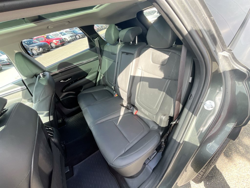2024 Hyundai Tucson Hybrid Luxury | Leather | Roof | Cam | Warranty to 2031 in Saint John, New Brunswick - 31 - w1024h768px