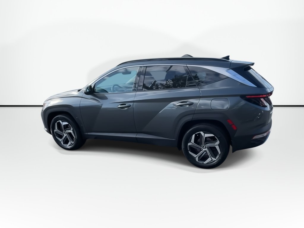 2024 Hyundai Tucson Hybrid Luxury | Leather | Roof | Cam | Warranty to 2031 in Saint John, New Brunswick - 6 - w1024h768px