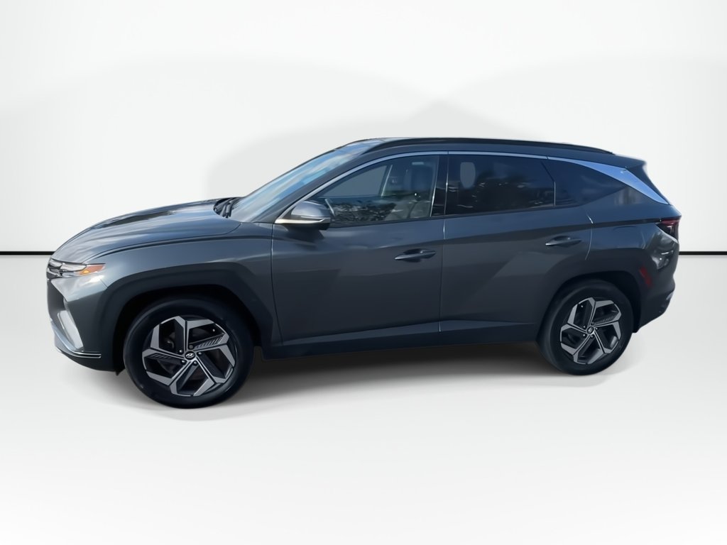 2024 Hyundai Tucson Hybrid Luxury | Leather | Roof | Cam | Warranty to 2031 in Saint John, New Brunswick - 5 - w1024h768px