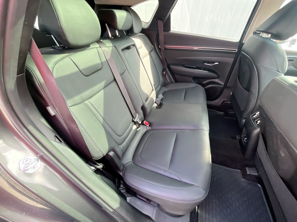 2024 Hyundai Tucson Hybrid Luxury | Leather | Roof | Cam | Warranty to 2031 in Saint John, New Brunswick - 38 - w1024h768px