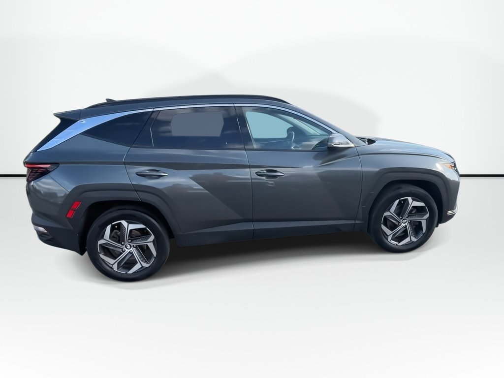 2024 Hyundai Tucson Hybrid Luxury | Leather | Roof | Cam | Warranty to 2031 in Saint John, New Brunswick - 9 - w1024h768px