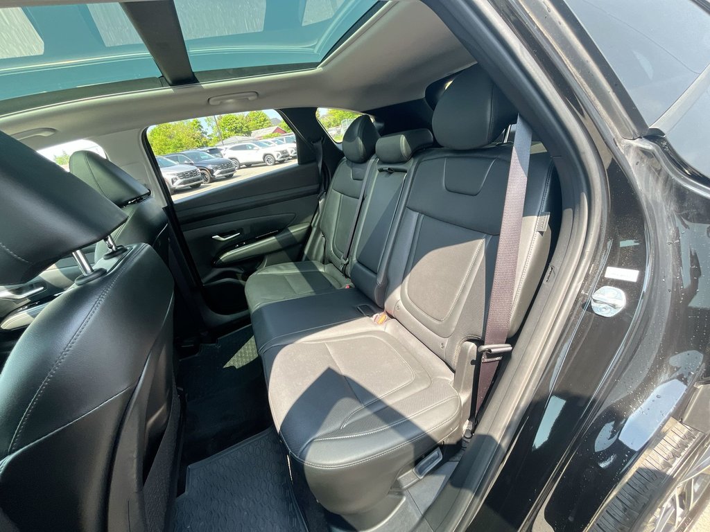 2025 Hyundai Tucson Hybrid Ultimate | Leather | Roof | Warranty to 2030 in Saint John, New Brunswick - 31 - w1024h768px