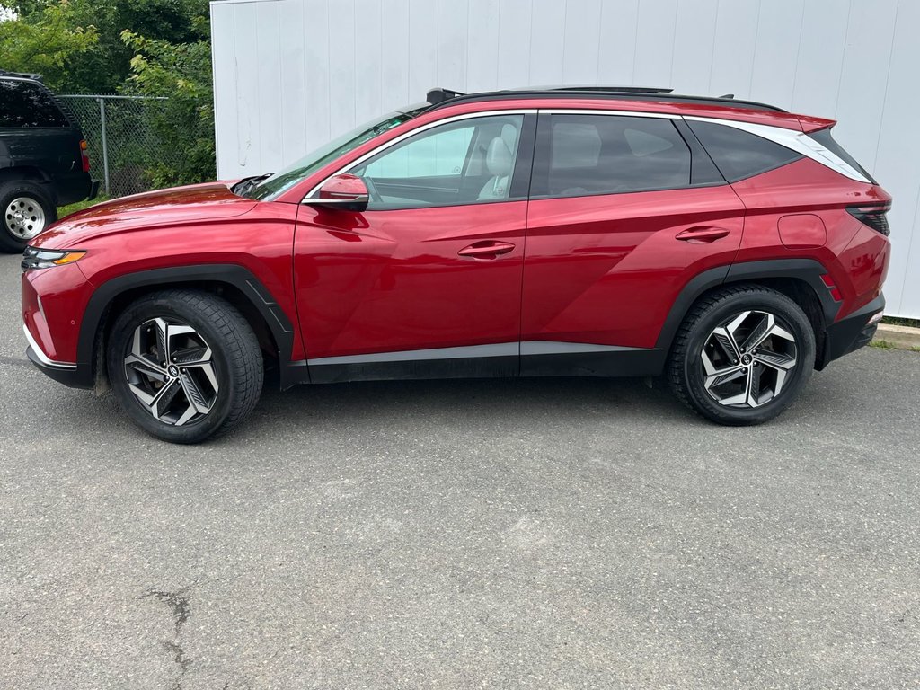 2023 Hyundai Tucson Plug-In Hybrid in Antigonish, Nova Scotia - 7 - w1024h768px