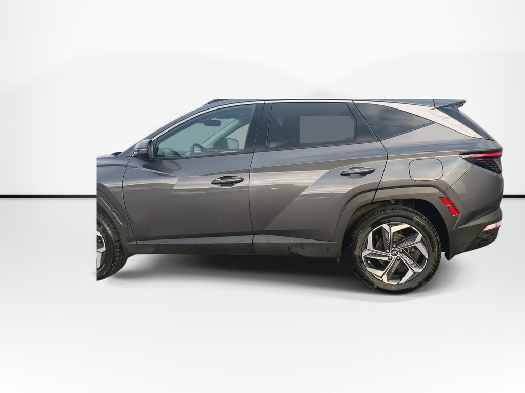 2024 Hyundai Tucson Plug-In Hybrid in Antigonish, Nova Scotia - 6 - w1024h768px