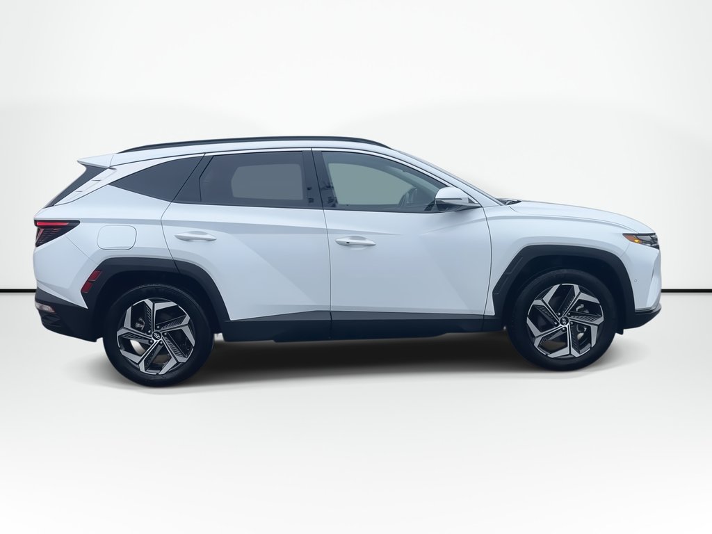 Hyundai Tucson Plug-In Hybrid Ultimate | Leather | Roof | Nav | Cam | USB 2024 à Saint John, Nouveau-Brunswick - 9 - w1024h768px