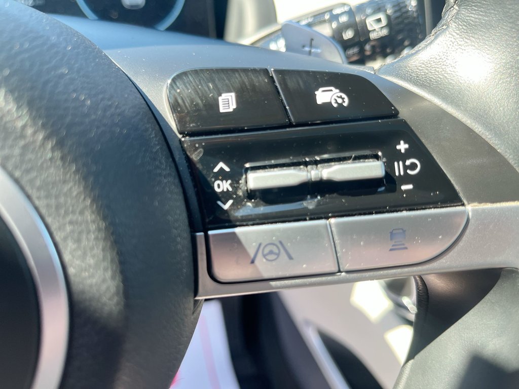 2024 Hyundai Tucson Plug-In Hybrid Ultimate | Leather | Roof | Nav | Cam | HtdWheel in Saint John, New Brunswick - 21 - w1024h768px
