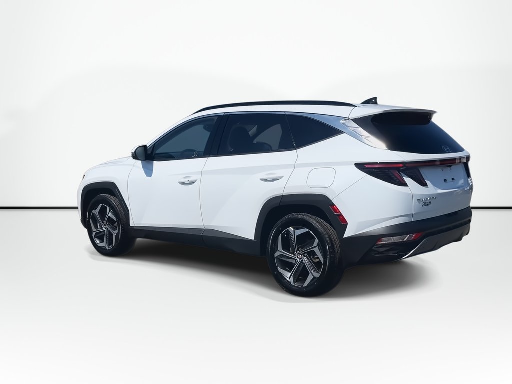 2024 Hyundai Tucson Plug-In Hybrid Ultimate | Leather | Roof | Nav | Cam | HtdWheel in Saint John, New Brunswick - 6 - w1024h768px