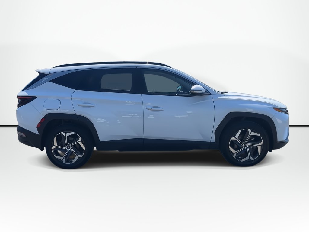 2024 Hyundai Tucson Plug-In Hybrid Ultimate | Leather | Roof | Nav | Cam | HtdWheel in Saint John, New Brunswick - 9 - w1024h768px