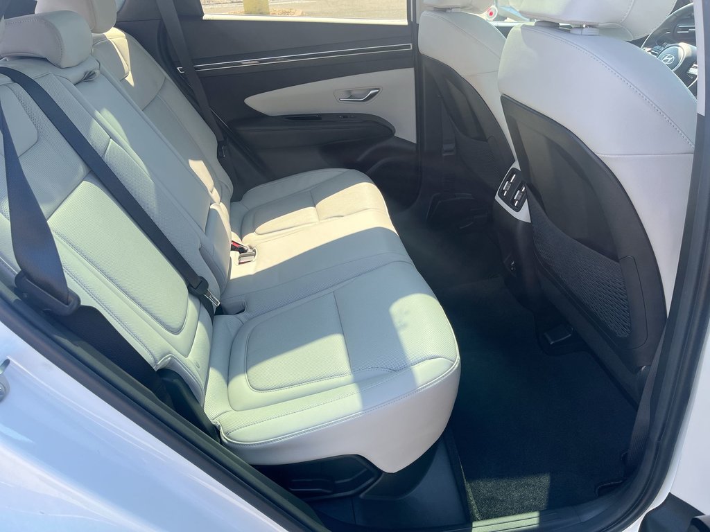 2024 Hyundai Tucson Plug-In Hybrid Ultimate | Leather | Roof | Nav | Cam | HtdWheel in Saint John, New Brunswick - 37 - w1024h768px