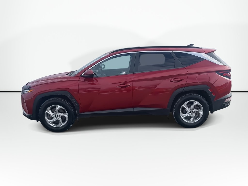 2022 Hyundai Tucson Preferred | Cam | USB | HtdWheel | Bluetooth in Saint John, New Brunswick - 5 - w1024h768px