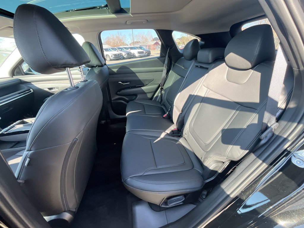2025 Hyundai Tucson in Antigonish, Nova Scotia - 31 - w1024h768px