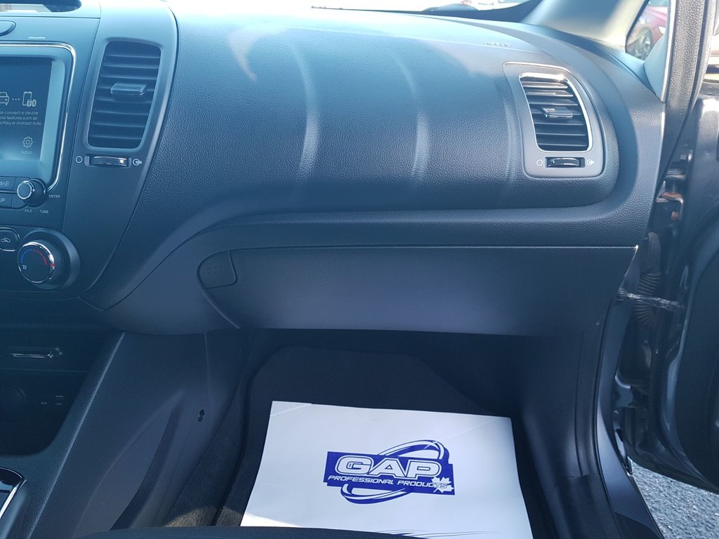 2017 Kia FORTE LX | USB | Bluetooth | Keyless | Cruise in Saint John, New Brunswick - 63 - w1024h768px