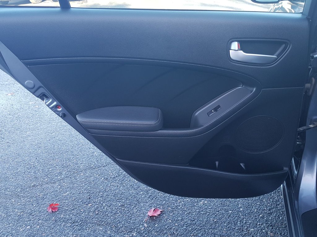 2017 Kia FORTE LX | USB | Bluetooth | Keyless | Cruise in Saint John, New Brunswick - 47 - w1024h768px