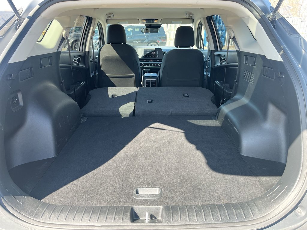 2024 Kia Sportage in Antigonish, Nova Scotia - 37 - w1024h768px