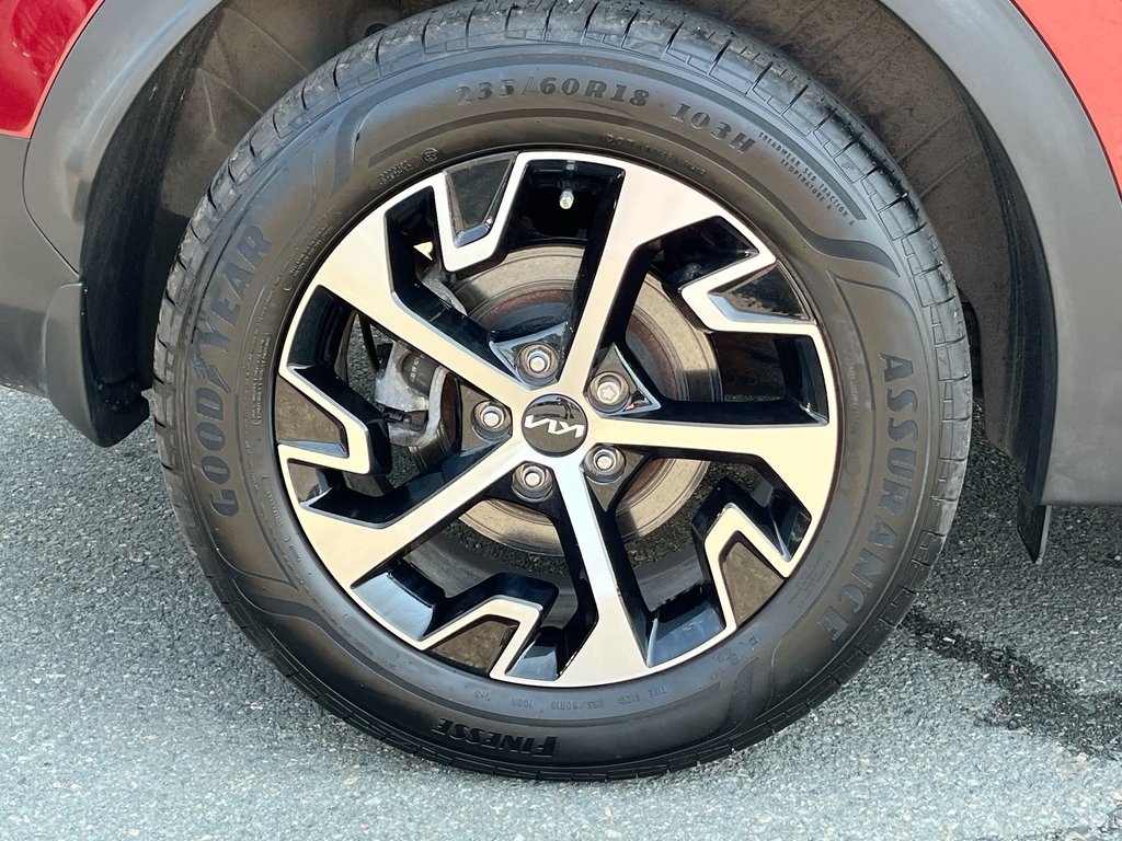 2025 Kia Sportage EX | Leather | Cam | USB | Warranty to 2029 in Saint John, New Brunswick - 10 - w1024h768px