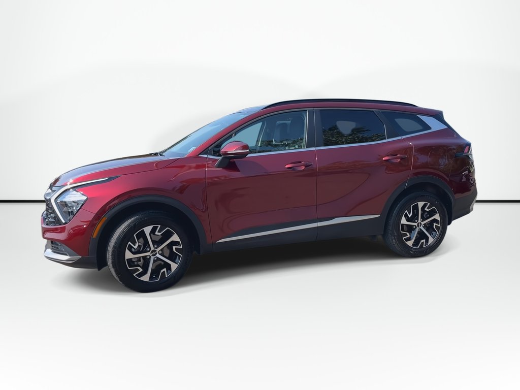 2025 Kia Sportage EX | Leather | Cam | USB | Warranty to 2029 in Saint John, New Brunswick - 5 - w1024h768px