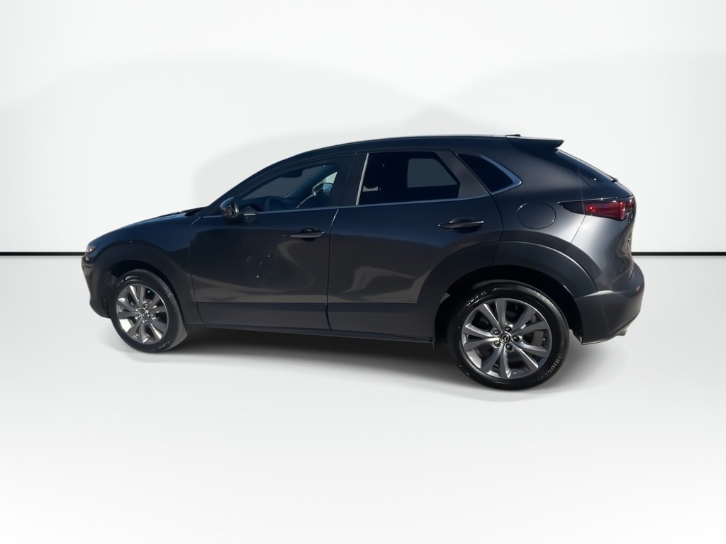 2024 Mazda CX-30 in Antigonish, Nova Scotia - 5 - w1024h768px