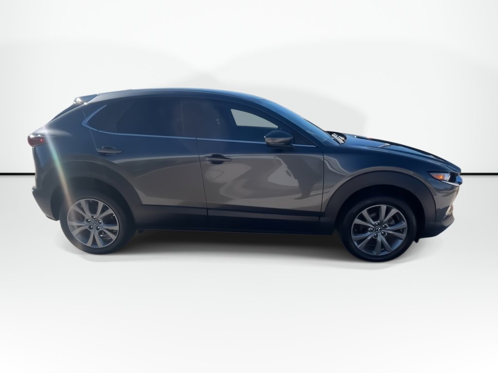 2024 Mazda CX-30 in Antigonish, Nova Scotia - 9 - w1024h768px