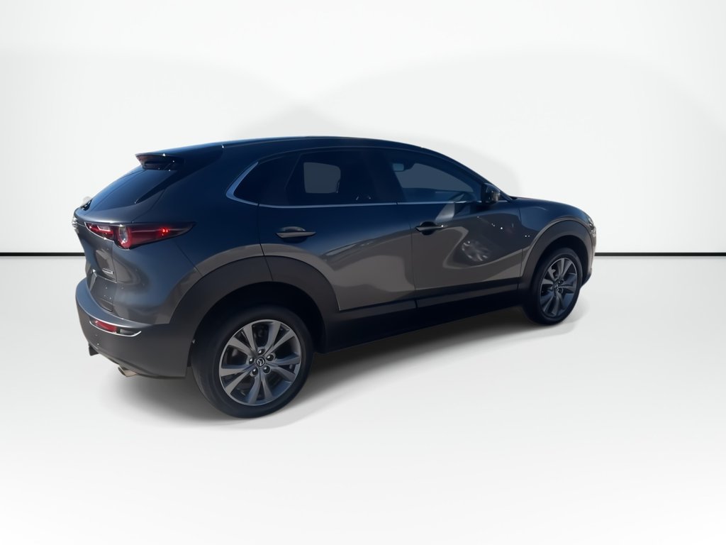 2024 Mazda CX-30 in Antigonish, Nova Scotia - 8 - w1024h768px
