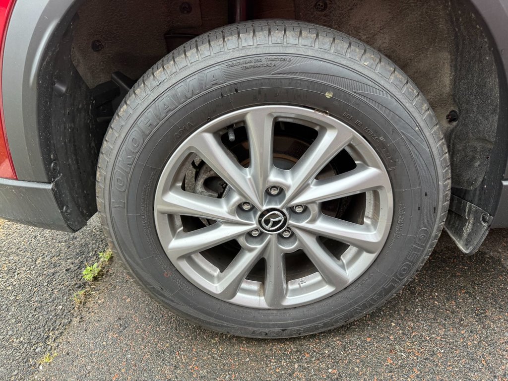 2025 Mazda CX-5 in Antigonish, Nova Scotia - 23 - w1024h768px