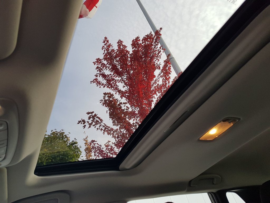 2021 Nissan Qashqai SV | Sunroof | Cam | USB | HtdWheel | Bluetooth in Saint John, New Brunswick - 39 - w1024h768px