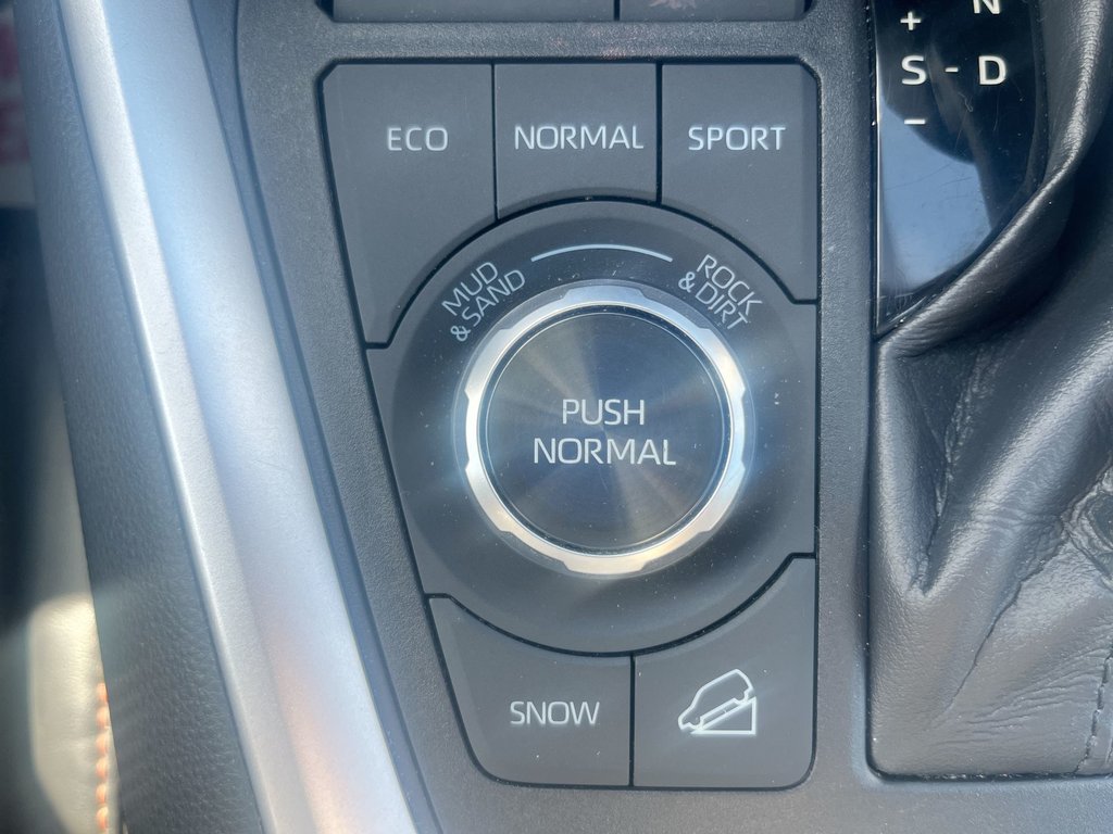 2019 Toyota RAV4 Trail | Leather | Sunroof | Cam | USB HtdWheel in Saint John, New Brunswick - 31 - w1024h768px