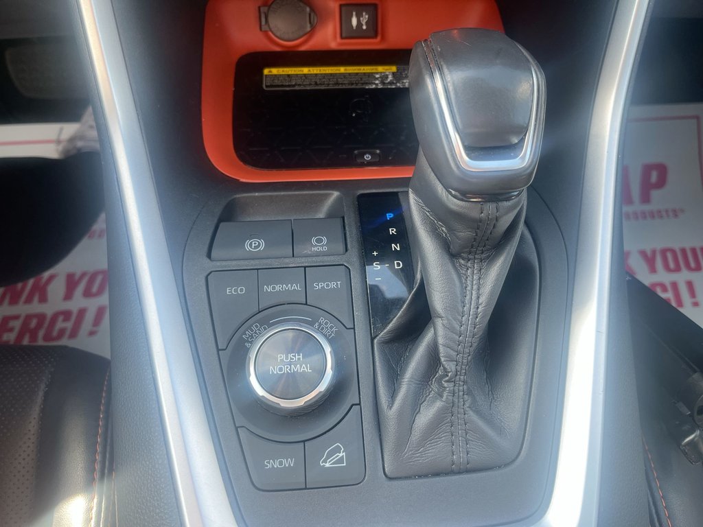 2019 Toyota RAV4 Trail | Leather | Sunroof | Cam | USB HtdWheel in Saint John, New Brunswick - 29 - w1024h768px