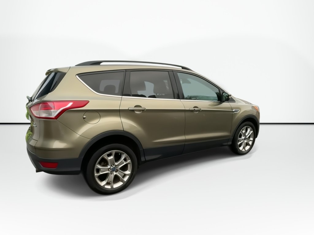 2013 Ford Escape SEL in Saint John, New Brunswick - 8 - w1024h768px