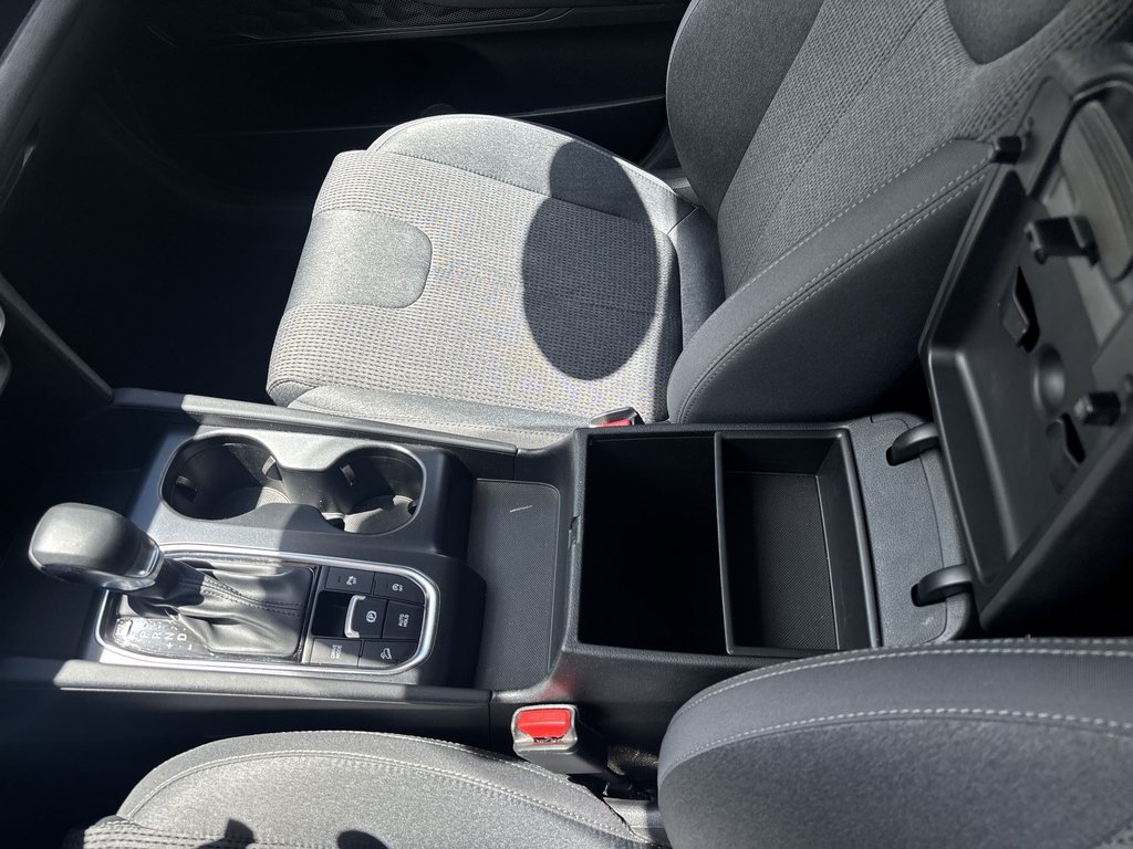 2020 Hyundai Santa Fe in Antigonish, Nova Scotia - 49 - w1024h768px