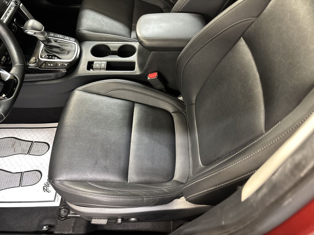 Kia Seltos SX 2024 à Saint John, Nouveau-Brunswick - 12 - w1024h768px