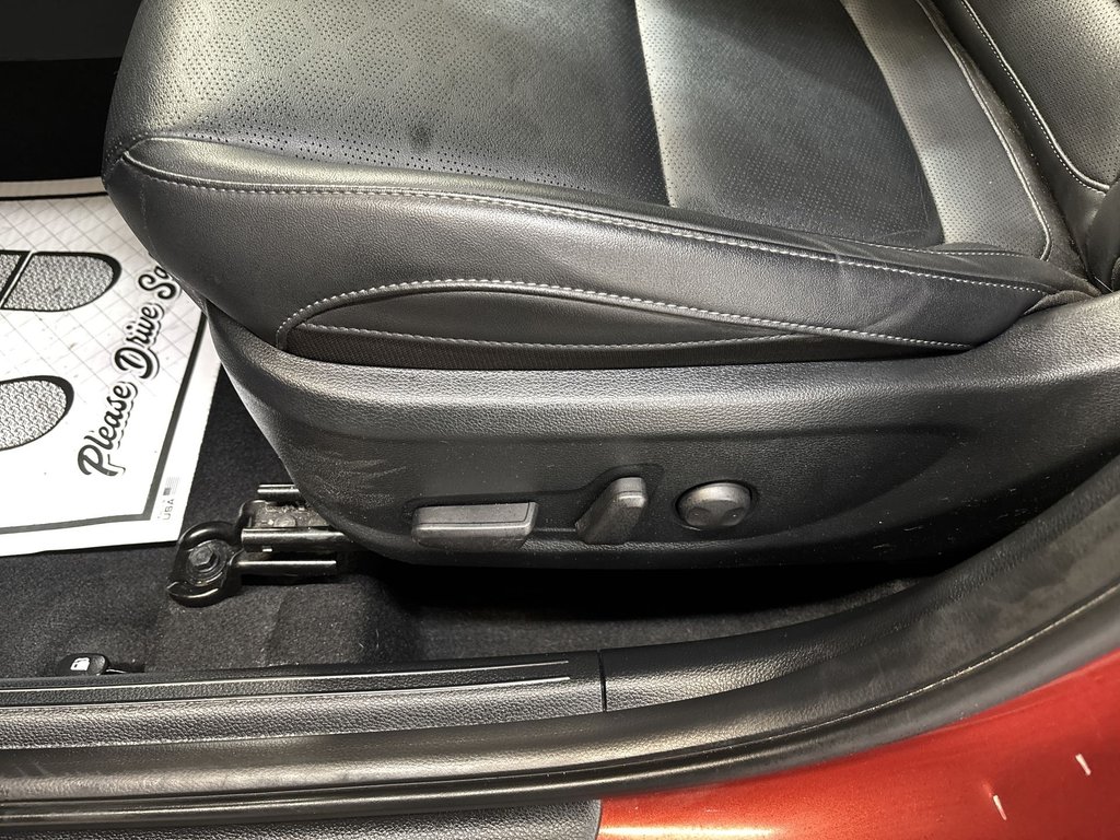 Kia Seltos SX 2024 à Saint John, Nouveau-Brunswick - 14 - w1024h768px