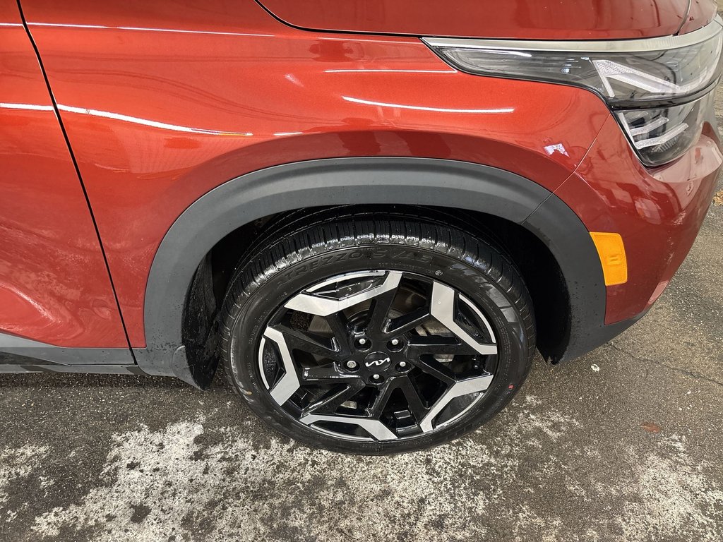 Kia Seltos SX 2024 à Saint John, Nouveau-Brunswick - 10 - w1024h768px