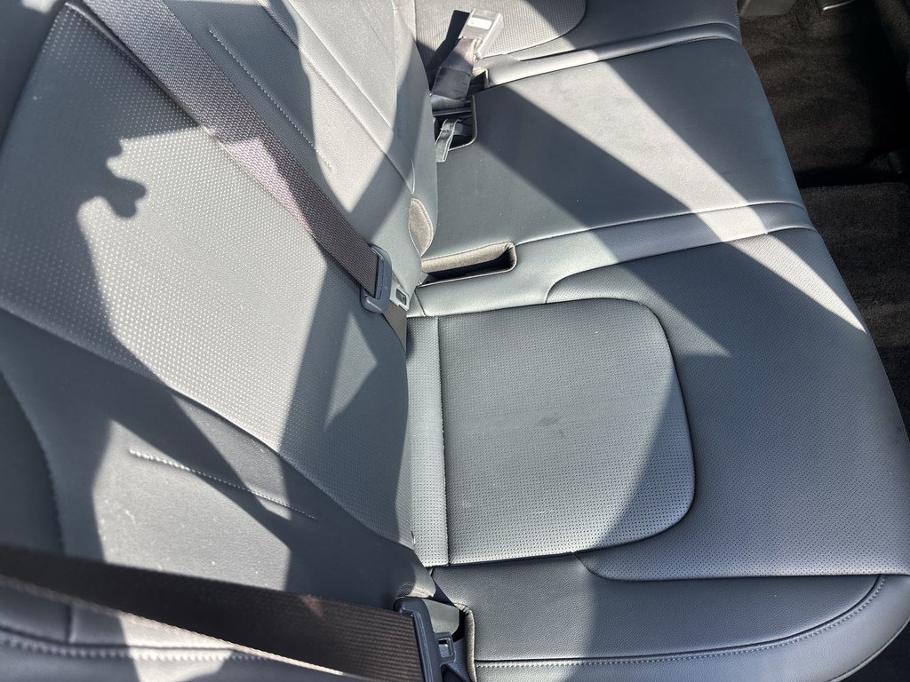 2026 Kia Sportage in Antigonish, Nova Scotia - 40 - w1024h768px
