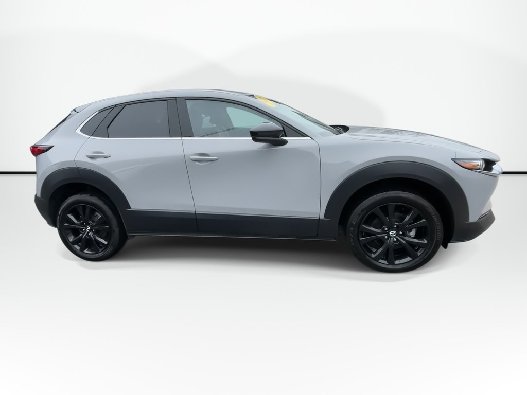 2025 Mazda CX-30 GT| Htdseats | Leather | Cam | Warranty 2030 in Saint John, New Brunswick - 9 - w1024h768px