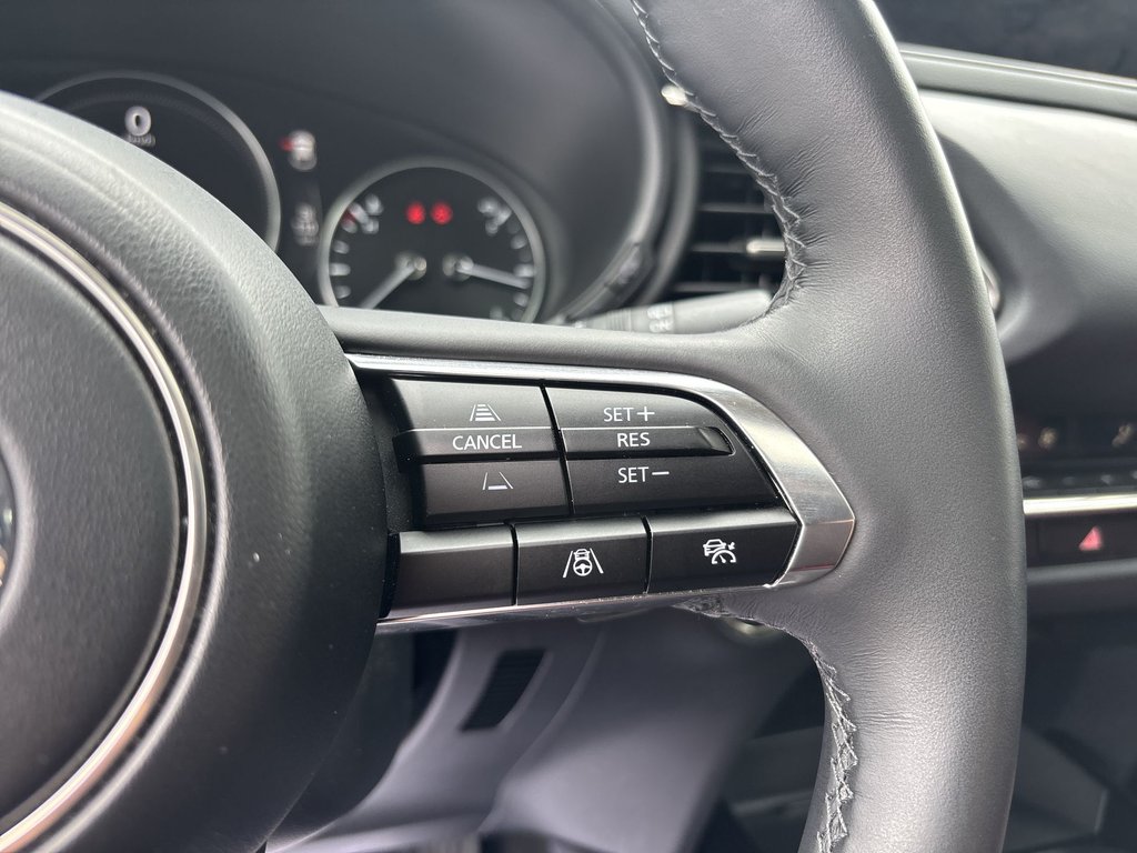 2025 Mazda CX-30 GT| Htdseats | Leather | Cam | Warranty 2030 in Saint John, New Brunswick - 21 - w1024h768px