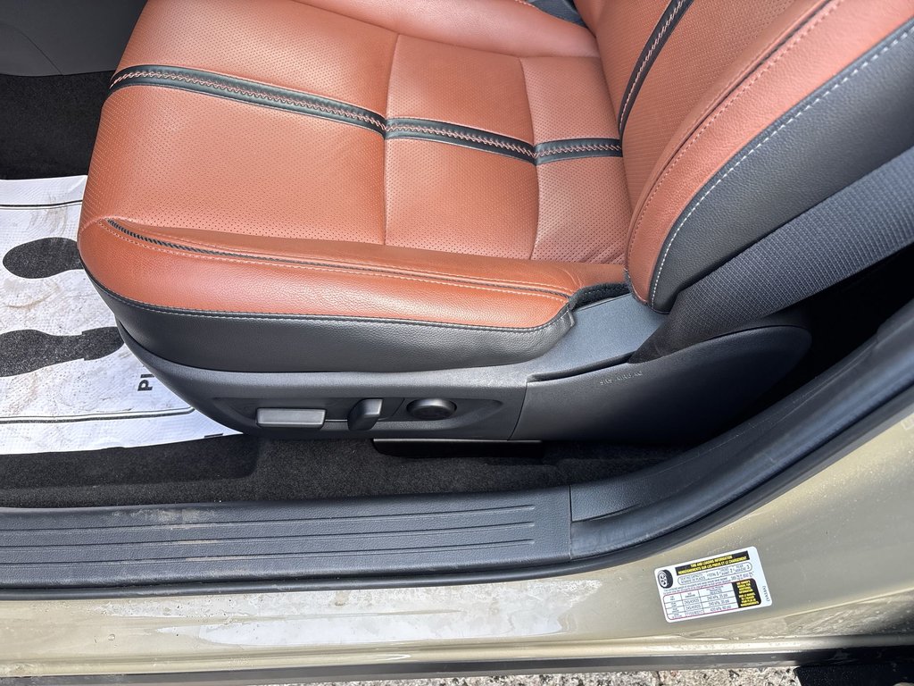 2025 Mazda CX-50 GT w/Turbo in Saint John, New Brunswick - 14 - w1024h768px