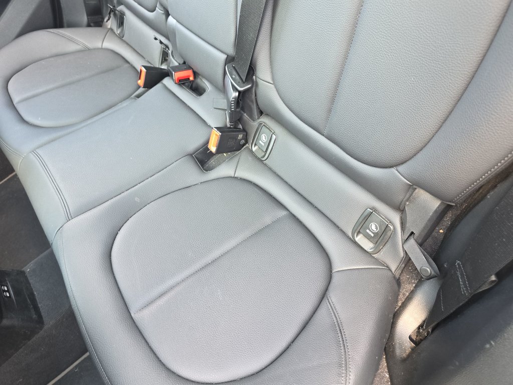 2020 BMW X1 in Antigonish, Nova Scotia - 40 - w1024h768px