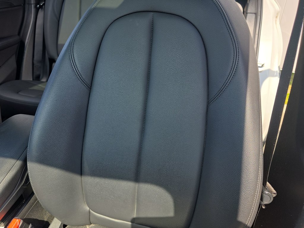 2020 BMW X1 in Antigonish, Nova Scotia - 19 - w1024h768px