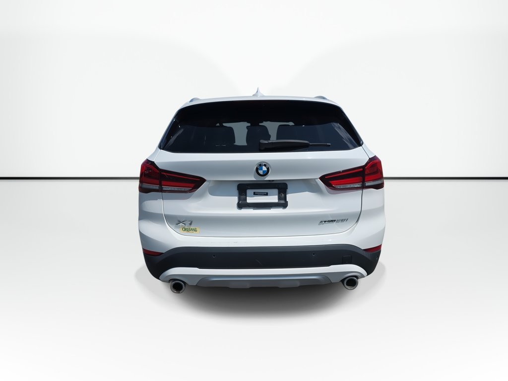 2020 BMW X1 in Antigonish, Nova Scotia - 6 - w1024h768px