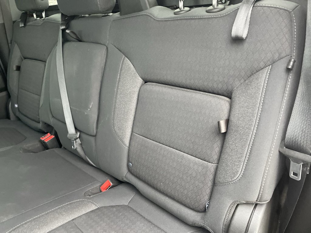 2020 Chevrolet Silverado 1500 LT Trail Boss | Htd Wheel | Backup Cam | USB in Saint John, New Brunswick - 38 - w1024h768px