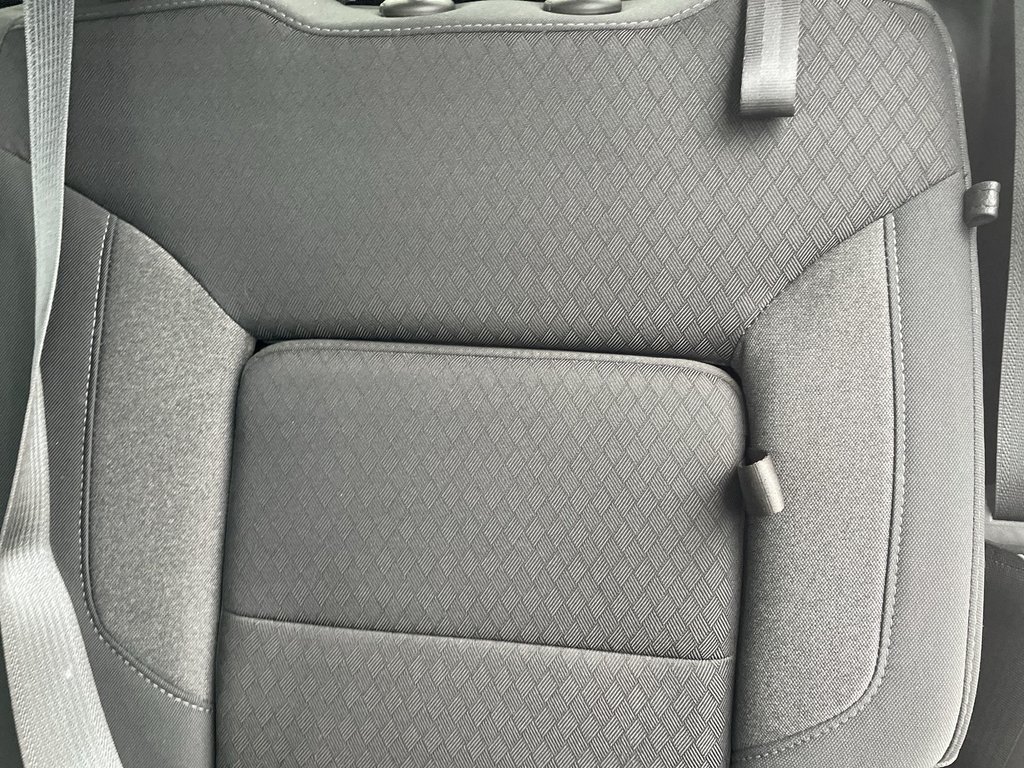 2020 Chevrolet Silverado 1500 LT Trail Boss | Htd Wheel | Backup Cam | USB in Saint John, New Brunswick - 40 - w1024h768px