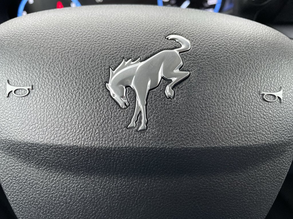 2023 Ford BRONCO SPORT in Antigonish, Nova Scotia - 25 - w1024h768px