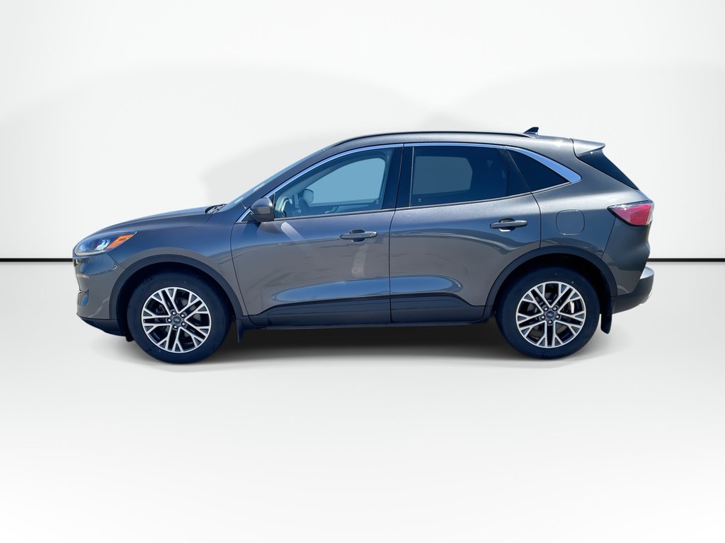 2020 Ford ESCAPE SEL | Backup Cam | USB | Pwr window in Saint John, New Brunswick - 8 - w1024h768px