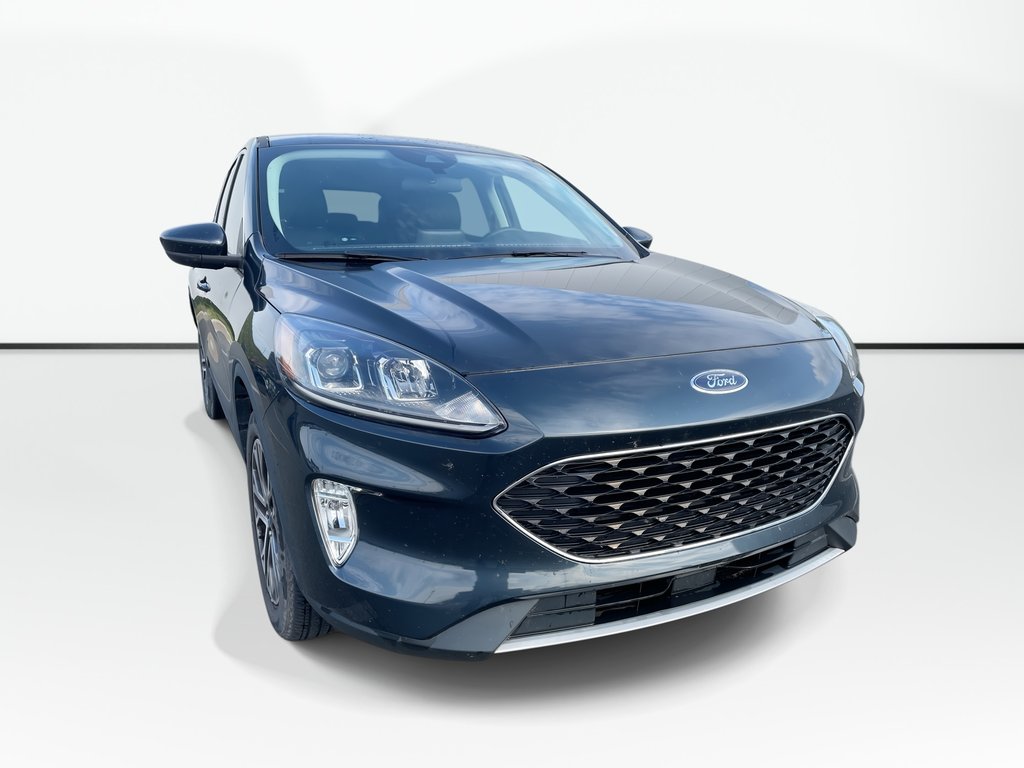 2022 Ford Escape SEL | CAM | LEATHER | USB | WARRANTY TO 2027 in Saint John, New Brunswick - 1 - w1024h768px