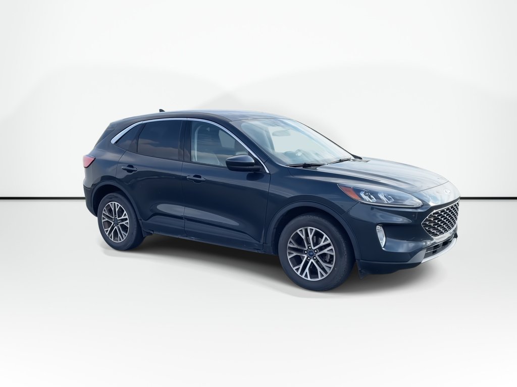 2022 Ford Escape SEL | CAM | LEATHER | USB | WARRANTY TO 2027 in Saint John, New Brunswick - 2 - w1024h768px