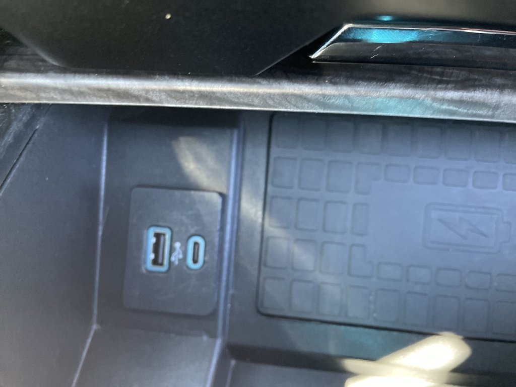 Ford Expedition Limited Max | leather | htd seats | USB 2020 à Saint John, Nouveau-Brunswick - 51 - w1024h768px