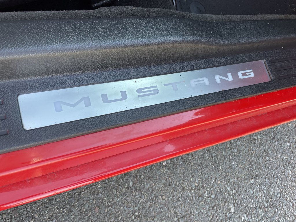 2014 Ford MUSTANG BASE in Saint John, New Brunswick - 53 - w1024h768px