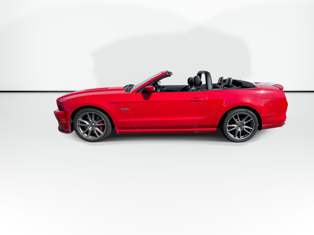 2014 Ford MUSTANG BASE in Saint John, New Brunswick - 8 - w1024h768px