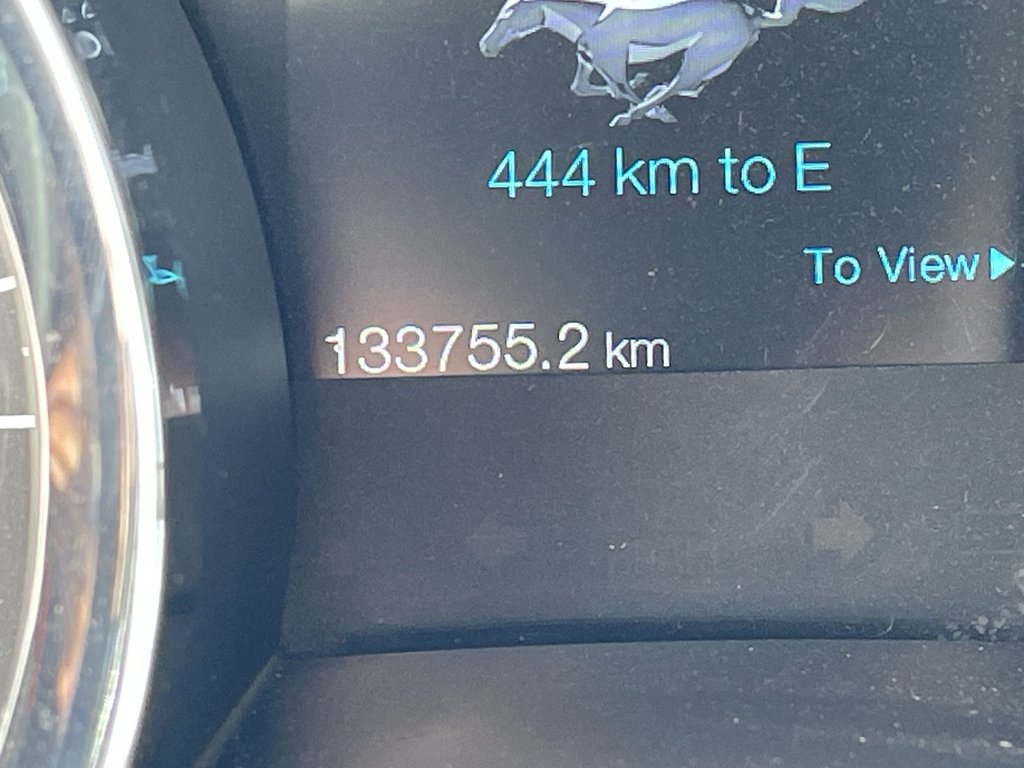 2014 Ford MUSTANG BASE in Saint John, New Brunswick - 29 - w1024h768px